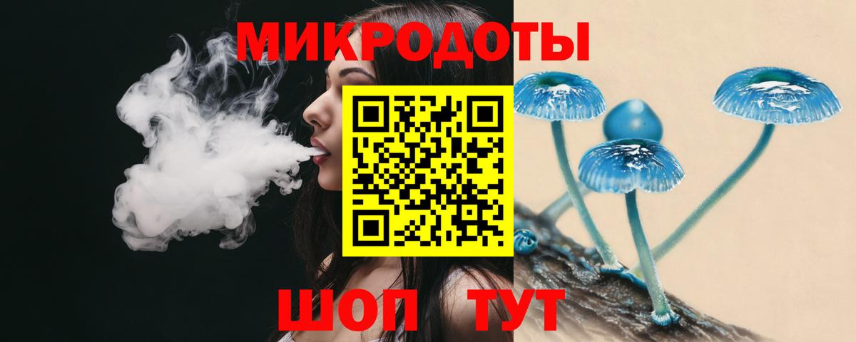 Кизилюрт  Псилоцибиновые грибы MAGIC MUSHROOMS  Вход с VPN  Псилоцибиновые грибы мицелий 